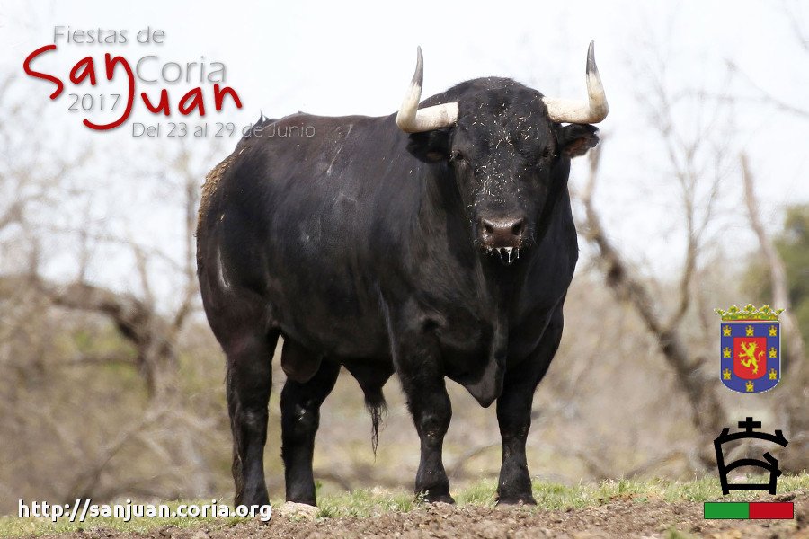 Toro Madrugada del 24