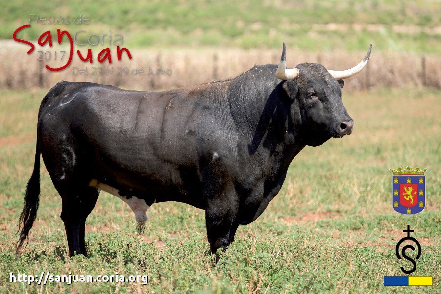 Toro Madrugada del 25