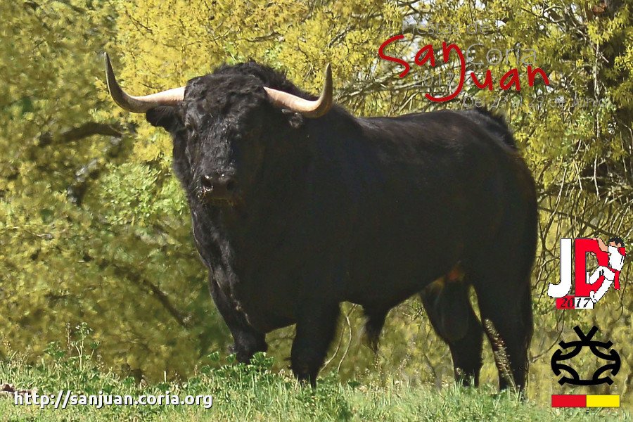 Toro de Tarde del 25
