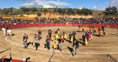 Coria celebrará su V Feria Internacional del Toro el próximo fin de semana Coria celebrará su V Feria Internacional del Toro el próximo fin de semana